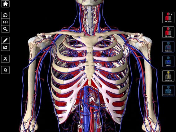 Essential anatomy 5 download free mac download